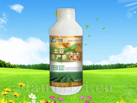 土豆丰产素