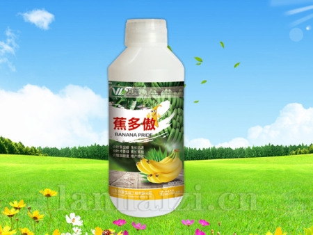 蕉多傲