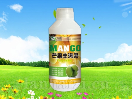 芒果丰满灵