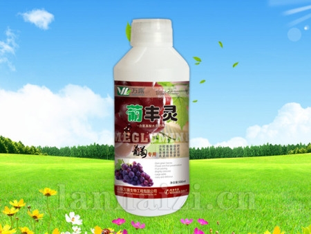 葡丰灵