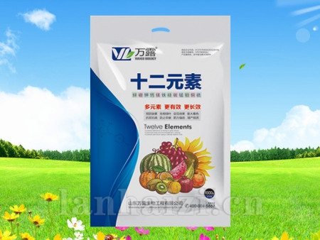 十二元素