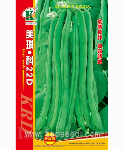 美琪科22D