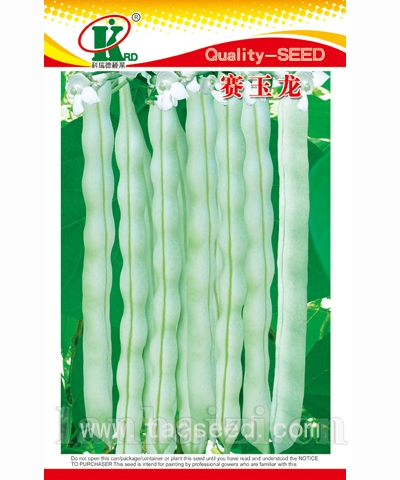 赛玉龙
