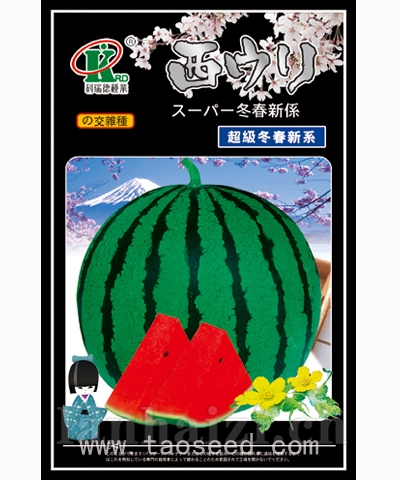 超级冬春新系