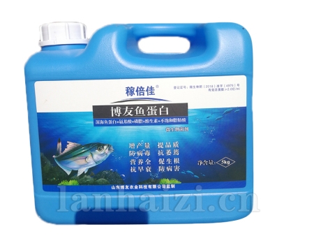 5kg博友鱼蛋白