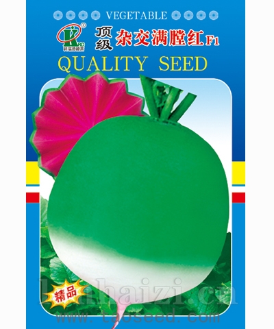 加州王