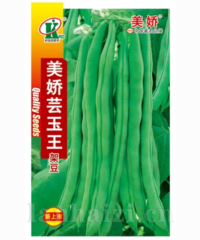 美娇芸玉王架豆