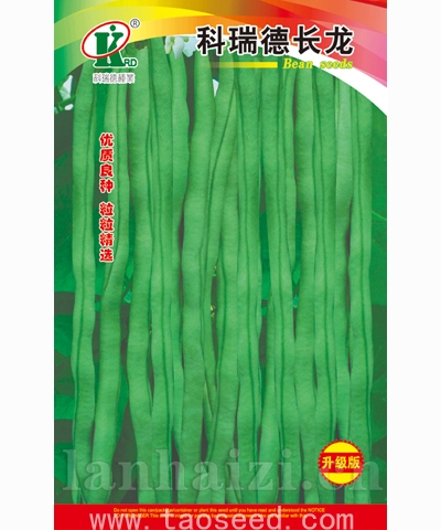 科瑞德长龙