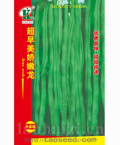 超早美娇嫩龙