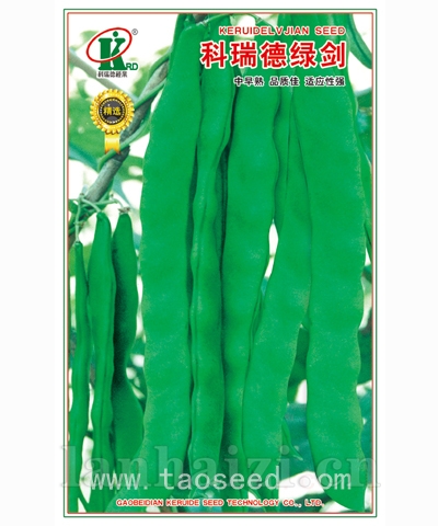 朗星-袋