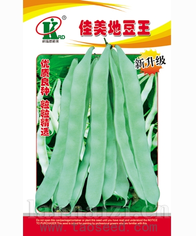 佳美地豆王