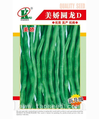 美娇圆龙Ｄ