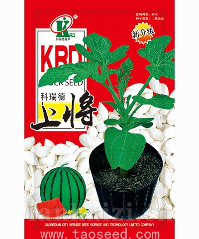 科瑞德上将