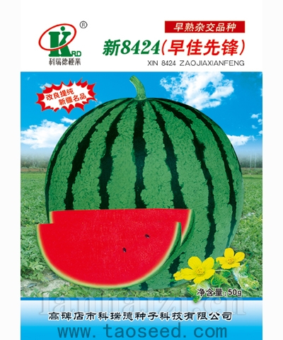 新8424(早佳先锋…
