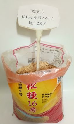 松粳16号