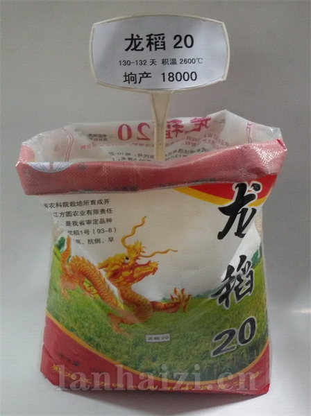 龙稻20