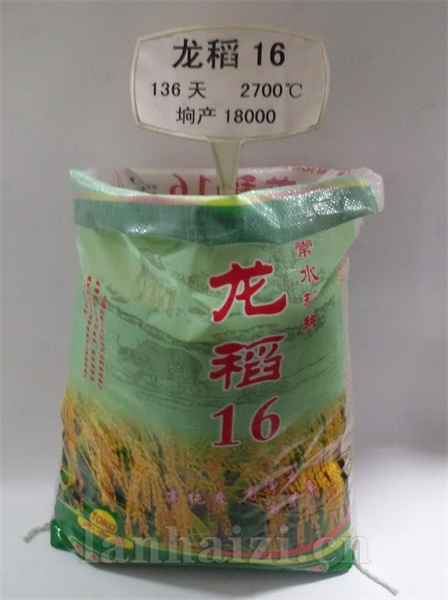 龙稻16（香稻）