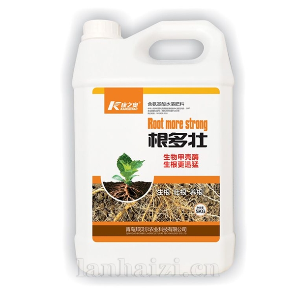 康之奥·根多壮