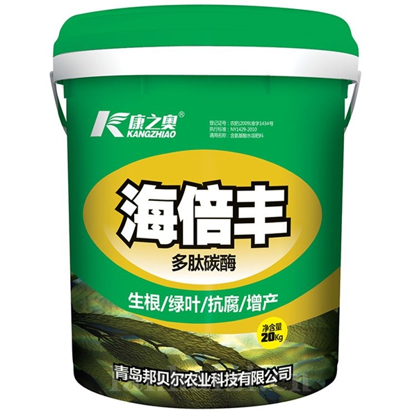 康之奥·海倍丰