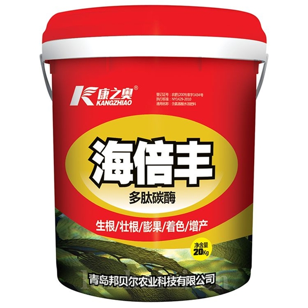 康之奥·海倍丰