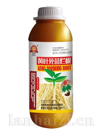 黄叶死苗烂根