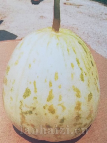 翠花