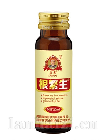 根繁生