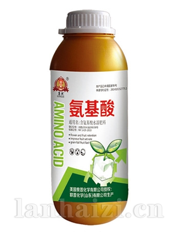 氨基酸