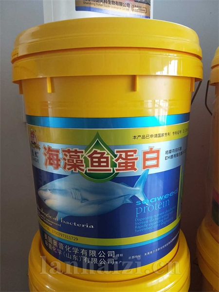 海藻鱼蛋白