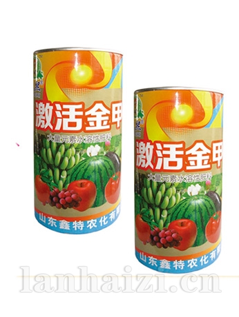 激活金甲