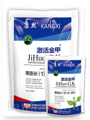 激活金甲