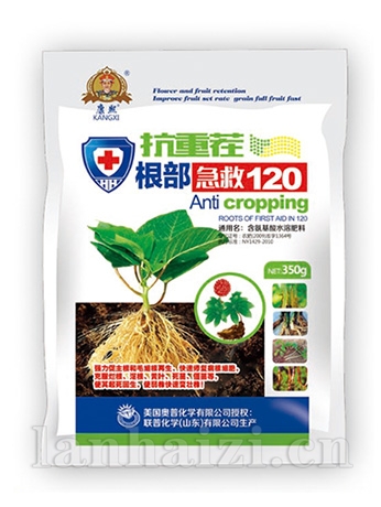 根部急救120