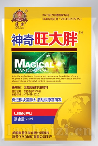 旺大胖