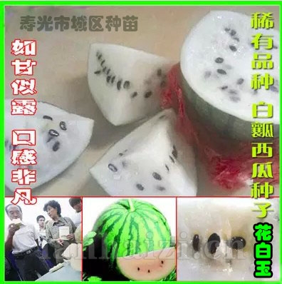 供应花白玉西瓜种子