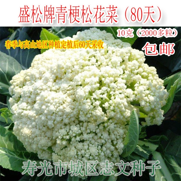 供应有机花菜种子