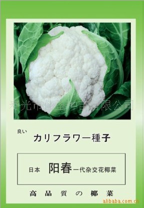 花菜种子
