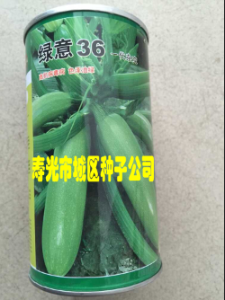 西葫芦种子
