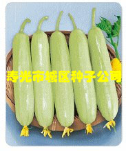 黄瓜