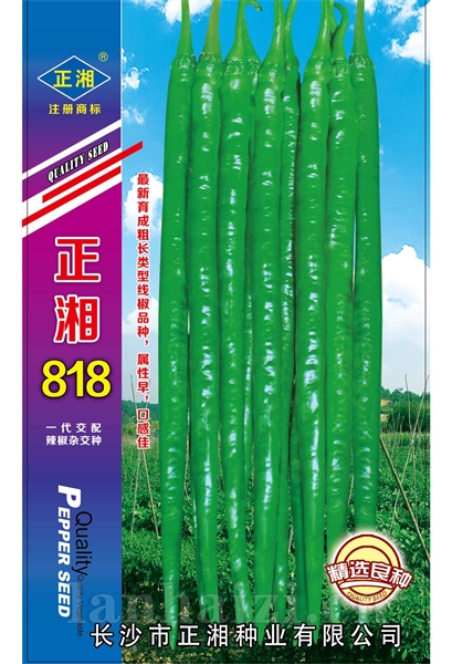 正湘818