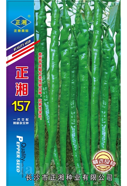 正湘157