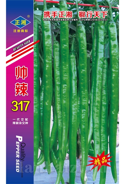 帅辣317（青）