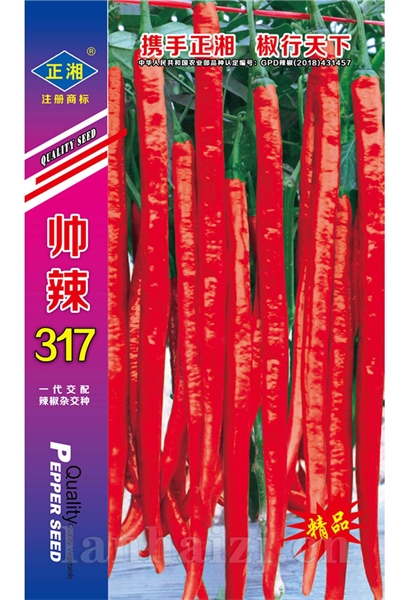 帅辣317（红）