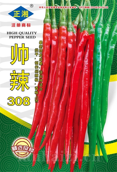 帅辣308