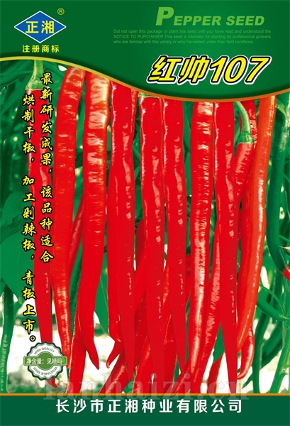 红帅107
