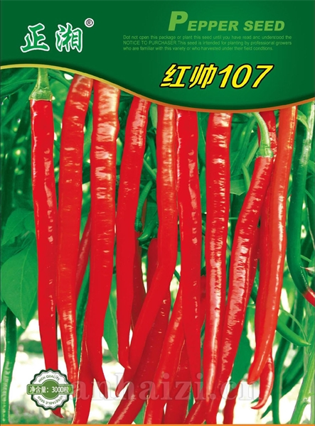 正湘红帅107