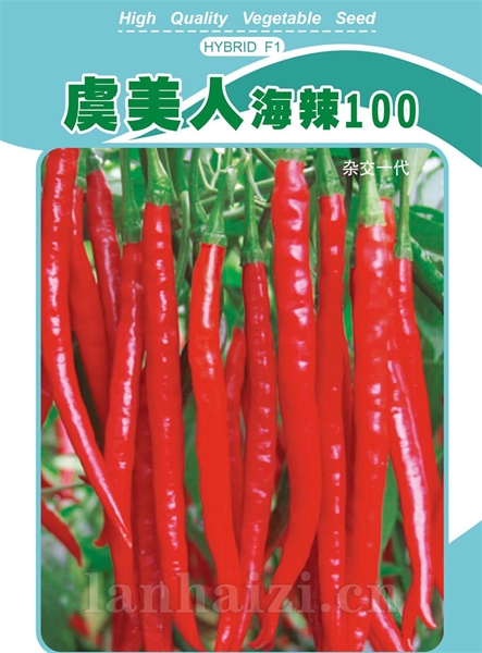 虞美人海辣100