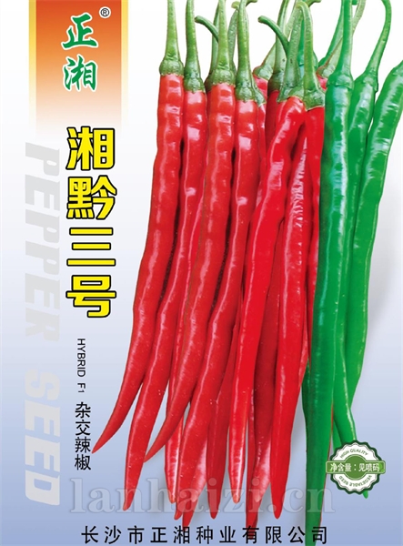 湘黔三号杂交辣椒