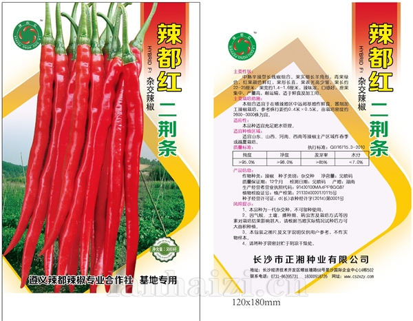 辣都红二荆条