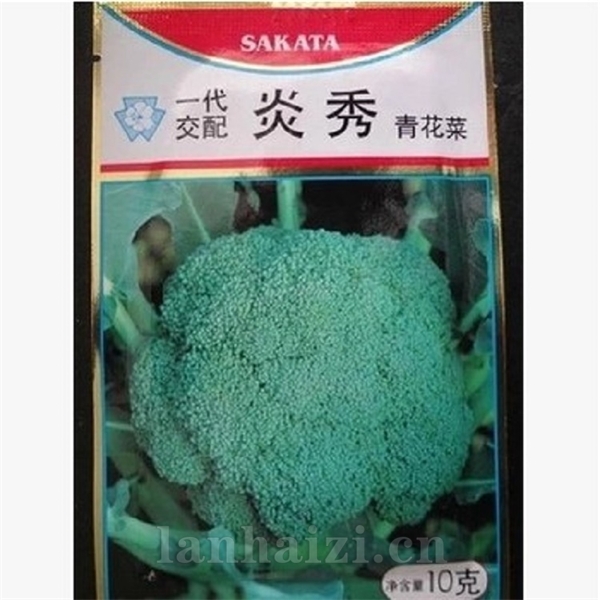 供应炎秀西兰花种子