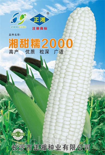 湘甜糯2000